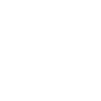 lupe weißes Lupen Icon